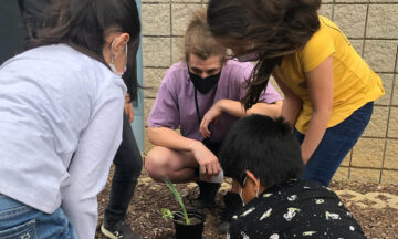 Students looking at a potted plant